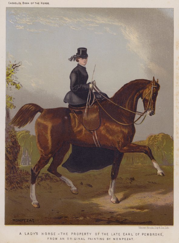 En dames hest, den afdøde jarl af Pembrokes ejendom (farve litho) af European School