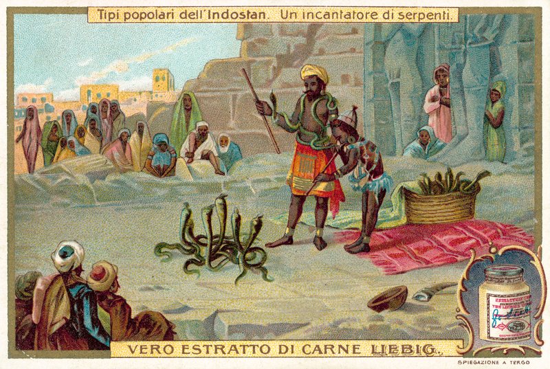 En slangetæmmer (chromolitho) af European School