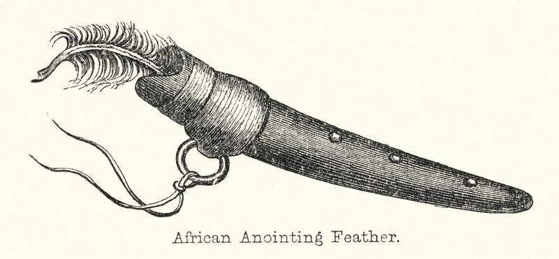 Afrikansk salvelsesfjer (gravering) af European School