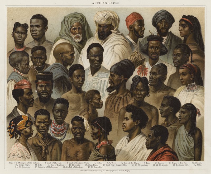 afrikanske racer af European School