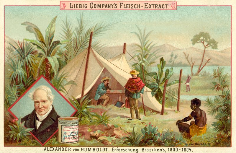 Alexander von Humboldts ekspedition til Sydamerika, 1800-1804 af European School