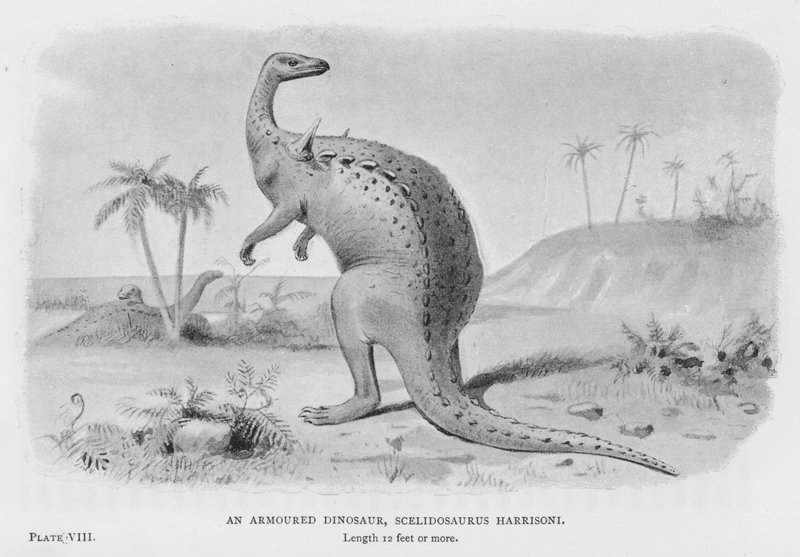 En pansret dinosaur, Scelidosaurus Harrisoni (litho) af European School
