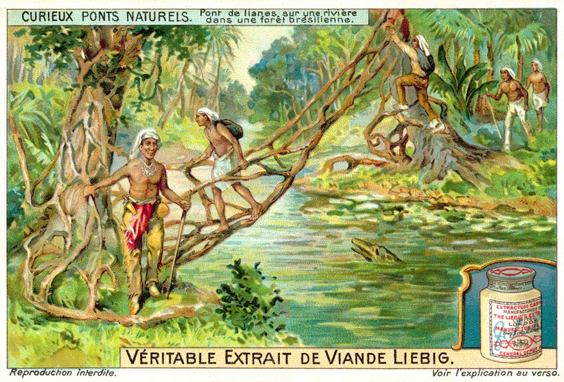Bro dannet af lianer over en flod i den brasilianske regnskov (chromolitho) af European School