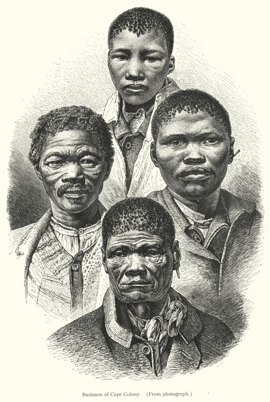 Bushmen fra Kapkolonien (gravering) af European School