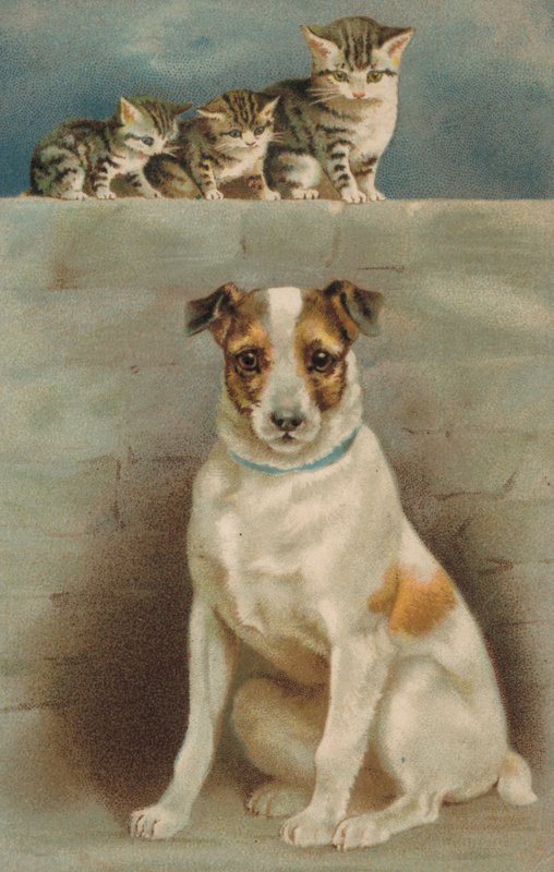 Katte observerer en hund (farvelitografi) af European School