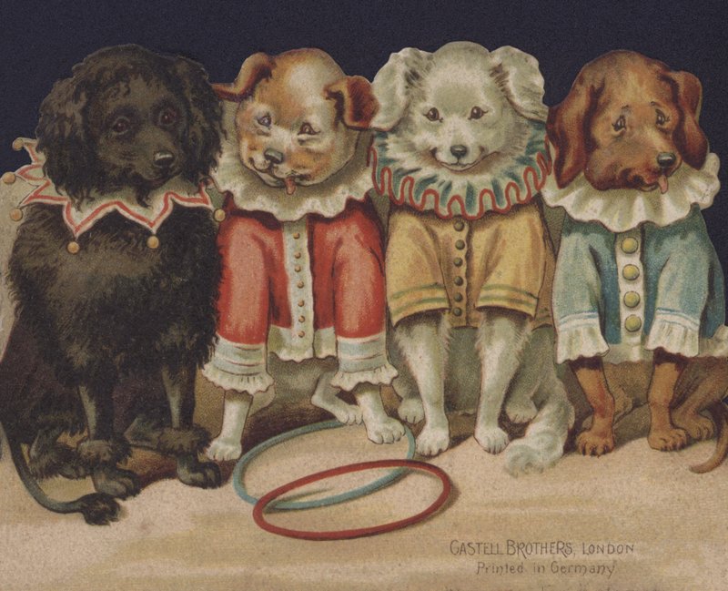 Komiske hunde af European School