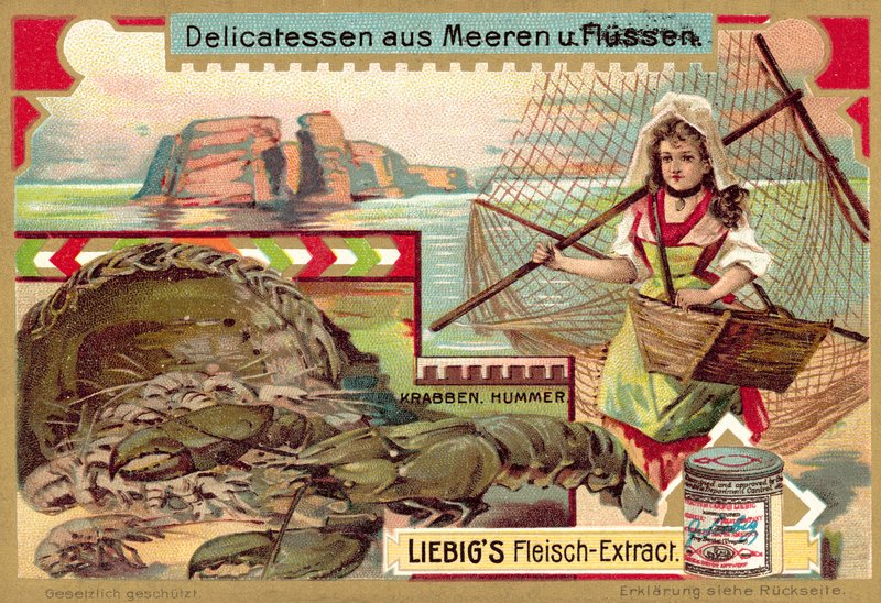 Krabbe og hummer (chromolitho) af European School