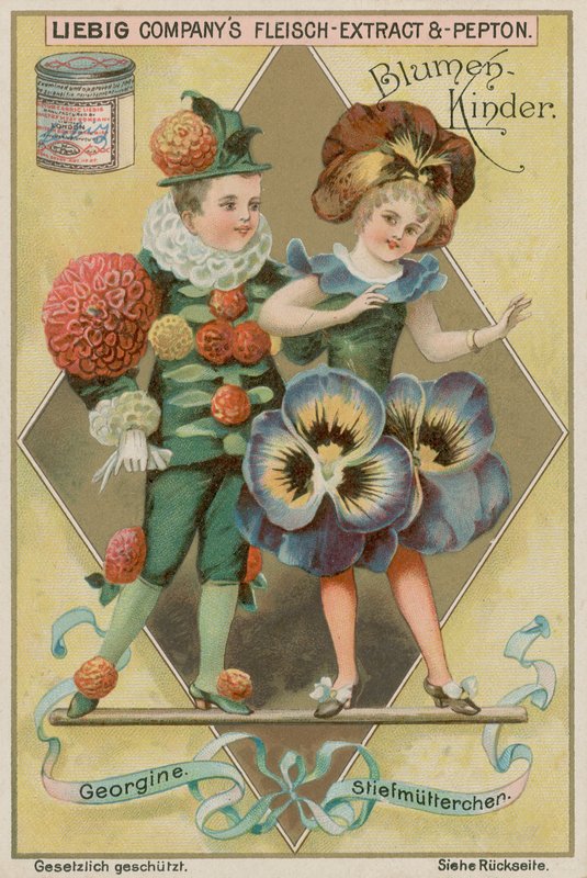 Dahlia og Pansy af European School