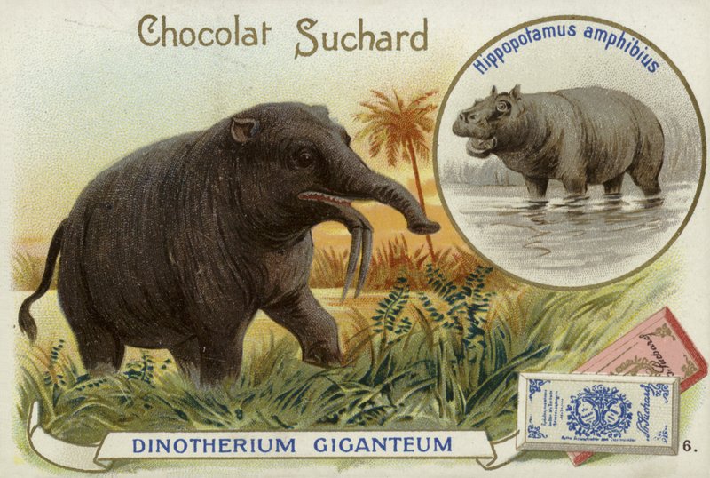 Deinotherium Giganteum og flodhest af European School