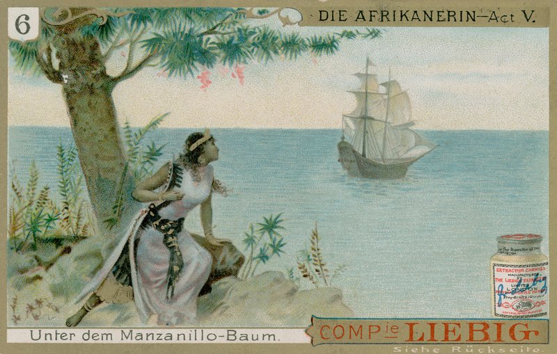 Die Afrikanerin: Akt 5 af European School