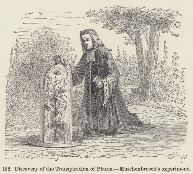 Discovery of the Transpiration of Plants, Muschenbroecks eksperiment (gravering) af European School