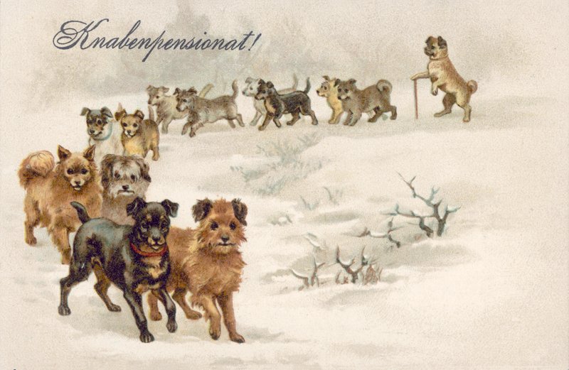 Postkort med hund (farvelitografi) af European School