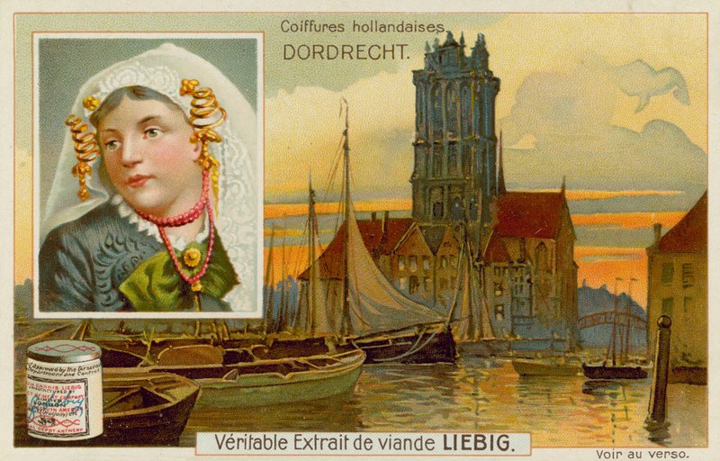Dordrecht af European School
