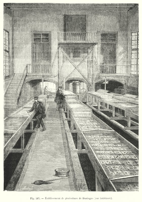 Huningue dambrug, indvendig udsigt. (gravering) af European School