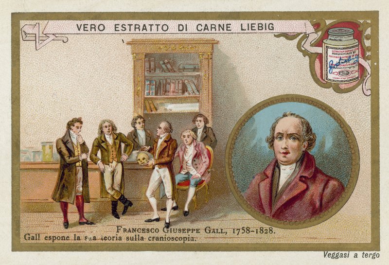 Franz Joseph Gall, tysk neuroanatom og fysiolog af European School