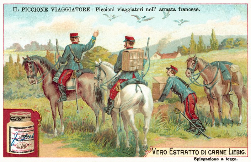 Den franske hærs brevduer (chromolitho) af European School