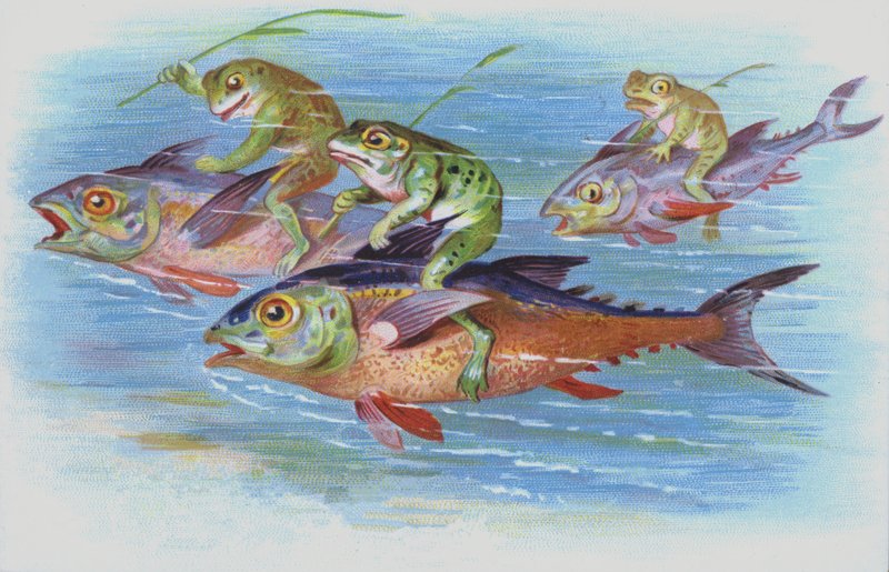 Frøer, der rider på fisk (chromolitho) af European School