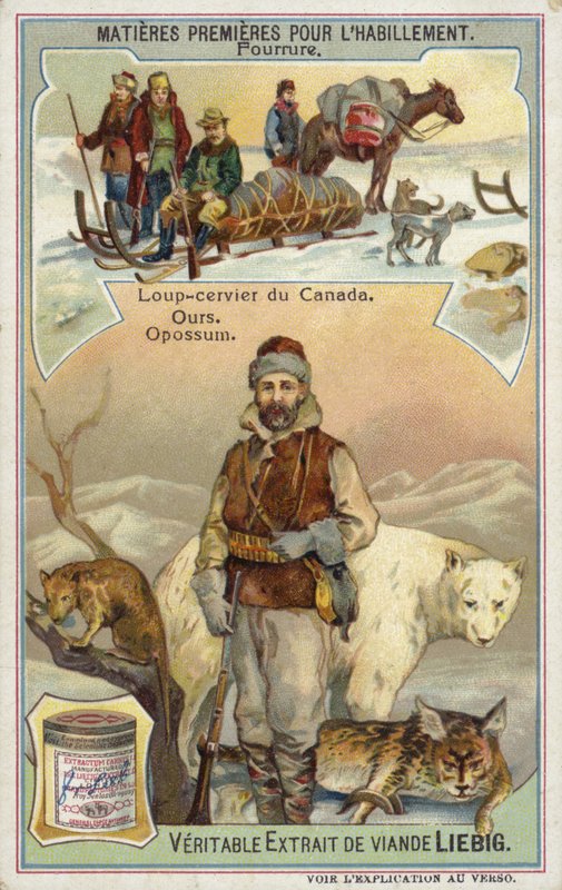 Fur: Canadian lynx; bear and opossum  af European School