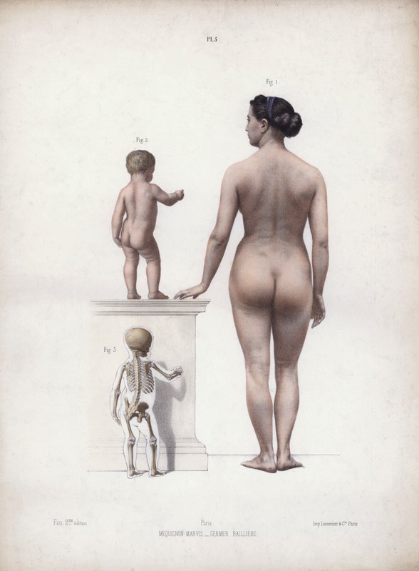 Illustration til The Anatomy of the External Forms of Man: Kvinde og barn stående, set bagfra (farvelitografi) af European School