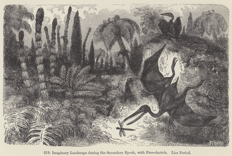 Imaginært landskab under den sekundære epoke, med Pterodactyler, Lias-periode (gravering) af European School