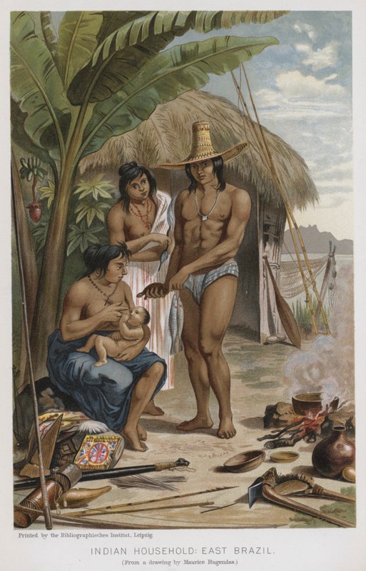 Indian Household, East Brazil (chromolitho) af European School