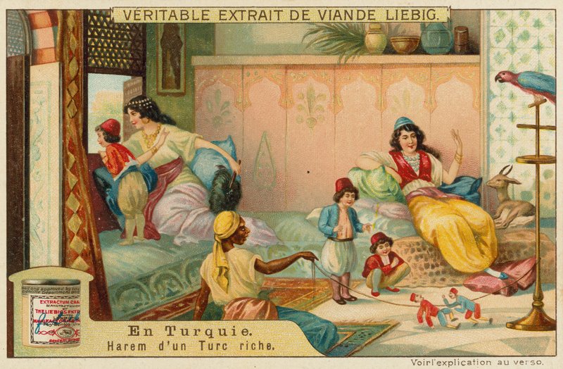 Inde i en rig tyrkers harem af European School