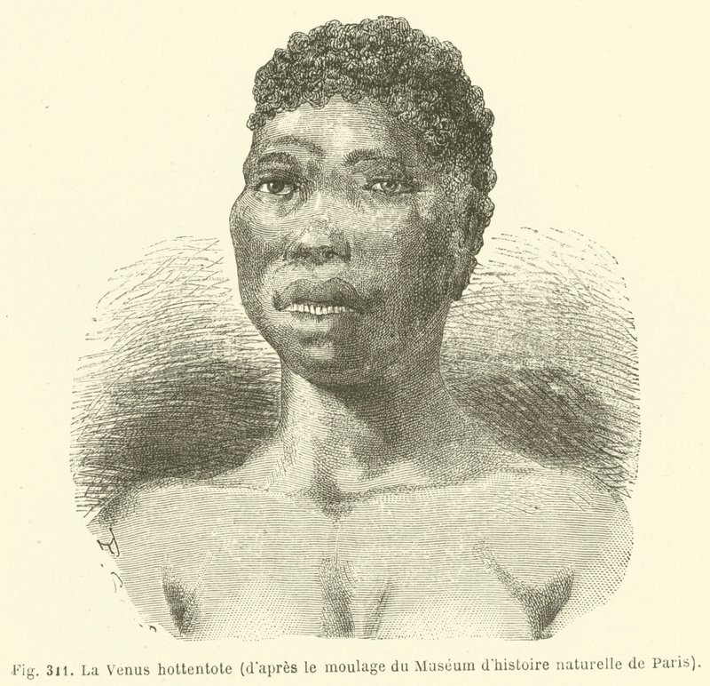 The Hottentot Venus, fra rollebesætningen af ​​Museum of Natural History i Paris (gravering) af European School