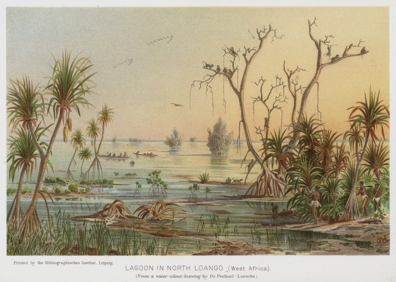 Lagune i North Loango, Vestafrika (chromolitho) af European School