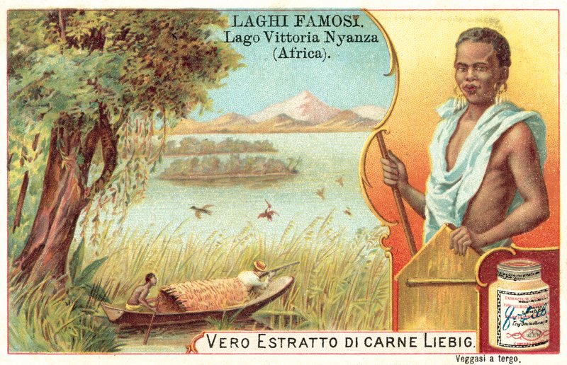 Victoria-søen, Afrika (chromolitho) af European School