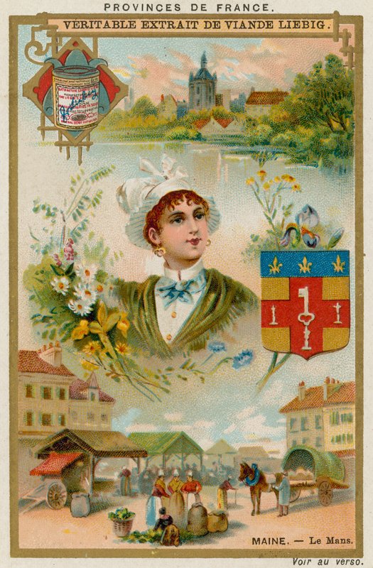 Maine af European School