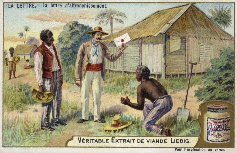 Letter of enfranchisement  af European School