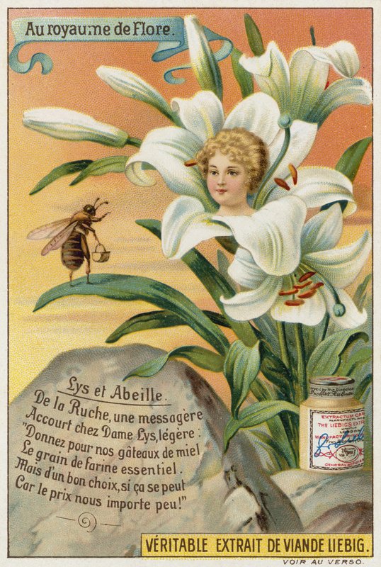 Lily and bee  af European School