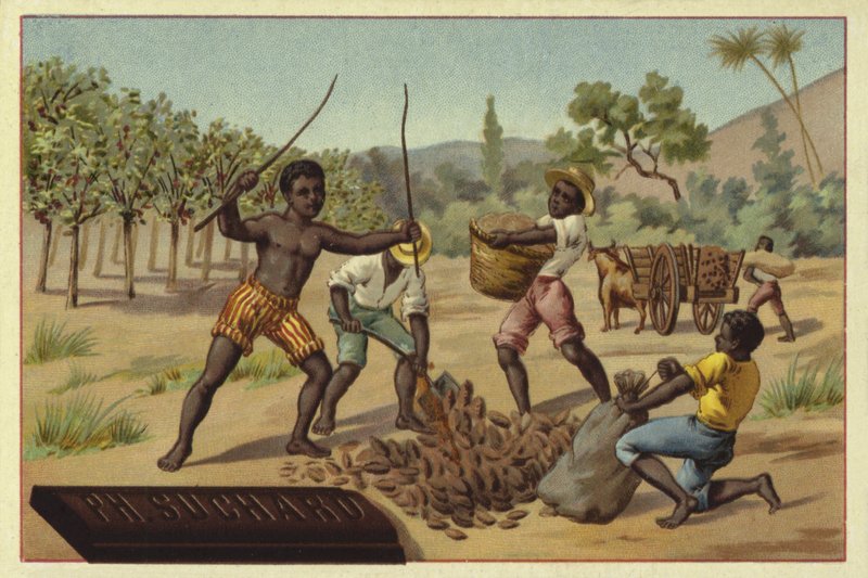 Indlæsning af kakaobælge i sække, Afrika af European School