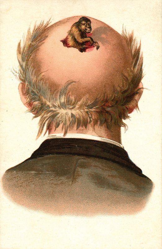 Mandshoved - med abe, der klatrer ud (chromolitho) af European School