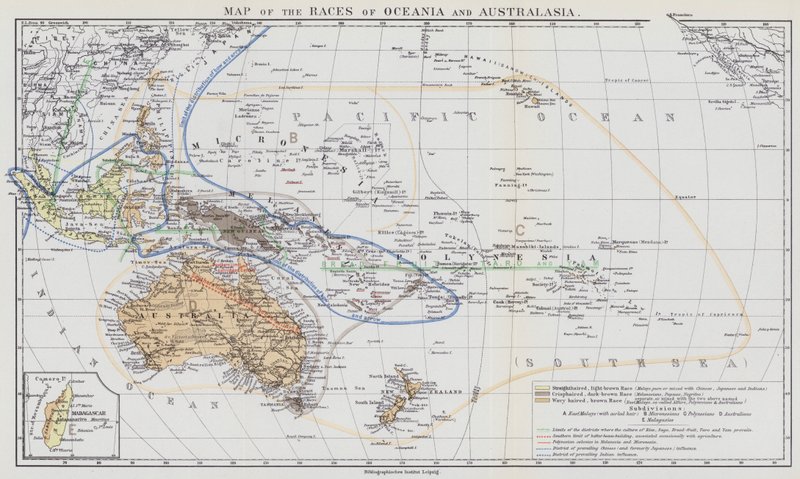 Kort over racerne i Oceanien og Australasien (farvelitografi) af European School
