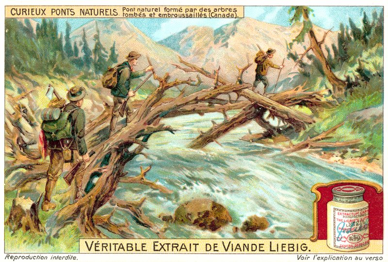 Naturlig bro dannet af væltede og tilgroede træer i Canada (chromolitho) af European School