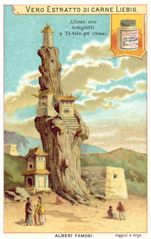 Gammelt træ med templer på det i Kina (chromolitho) af European School