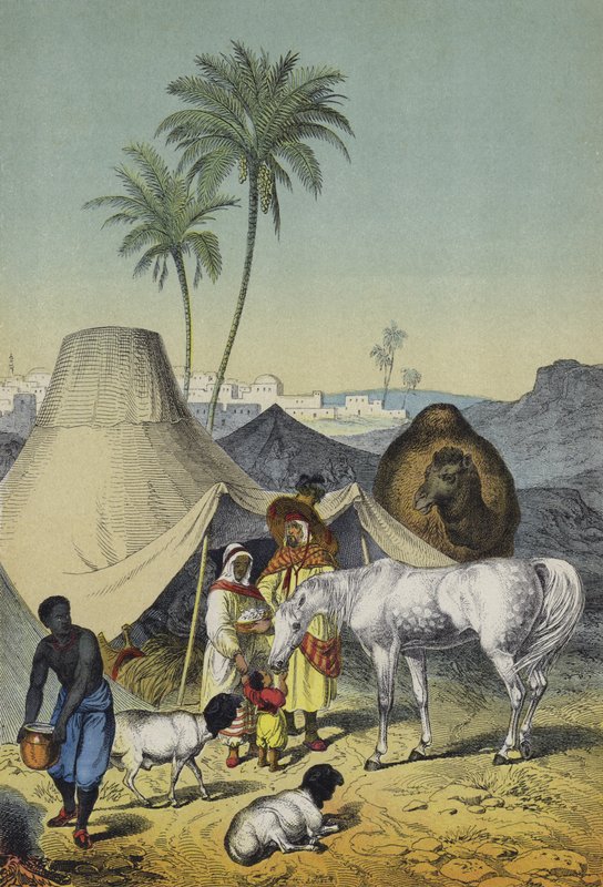 Mennesker, dyr og planter i Nordafrika og Arabien (farve litho) af European School