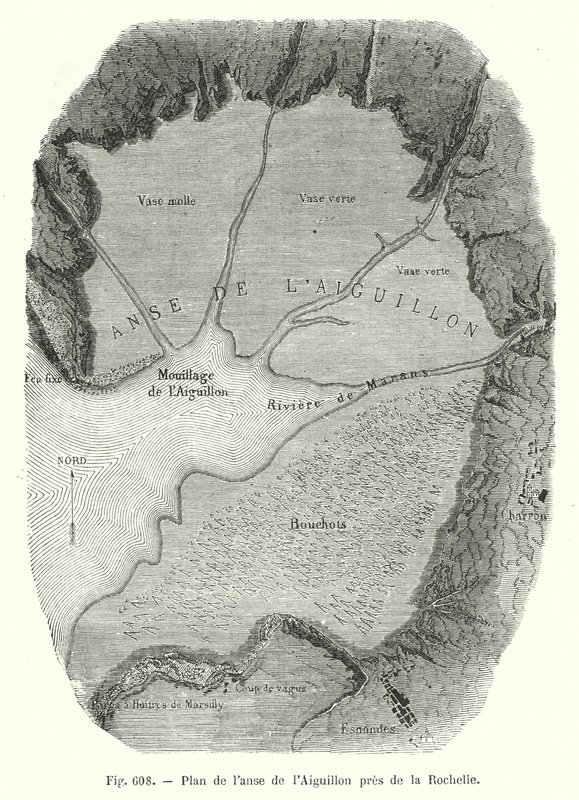 Plan over Aiguillon-bugten nær La Rochelle (gravering) af European School