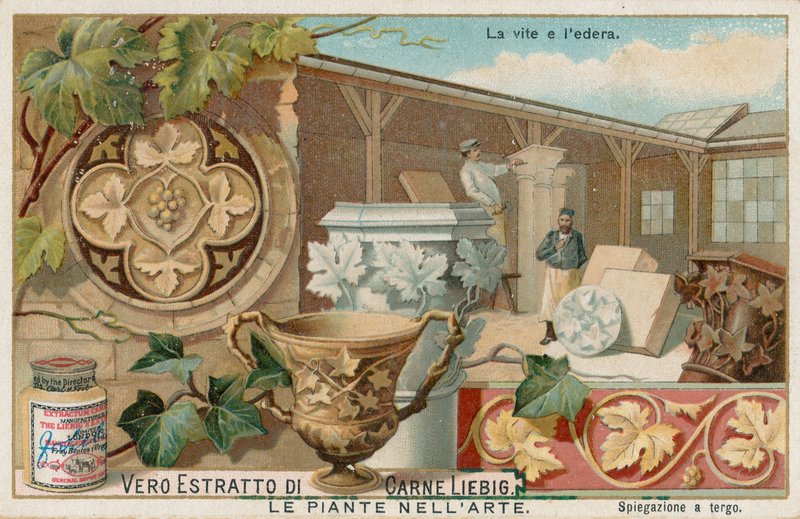 Planter i kunsten, Liebig-kort, begyndelsen af det 20. århundrede (chromo) af European School