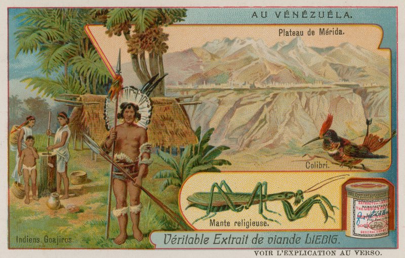 Plateau of Mirida med kolibri og bedduner og Wayu indianere af European School