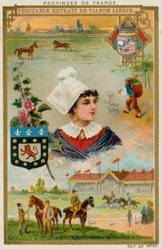 Poitou af European School