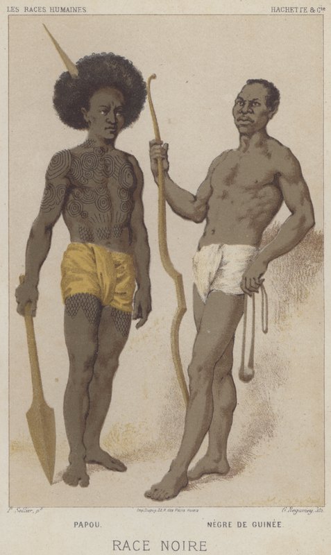 Black Race, Papuan, Black fra Guinea (chromolitho) af European School
