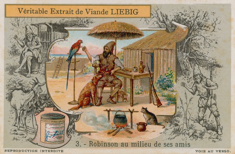 Robinson Crusoe med alle sine venner af European School