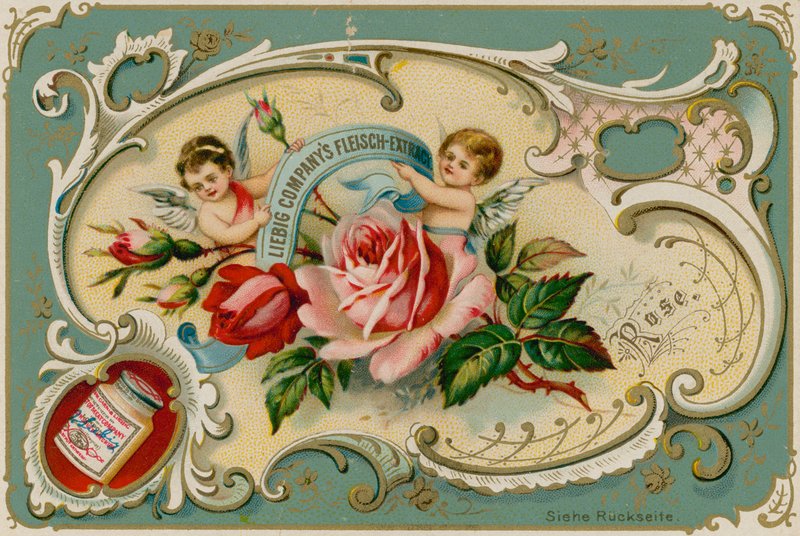 Rose af European School
