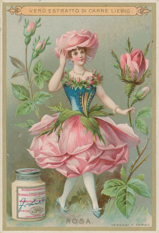 Rose Blomsterpige af European School