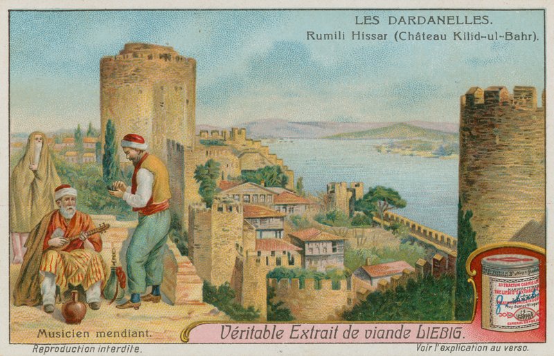 Rumelihisari, Istanbul af European School