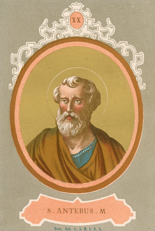 S Anterus M af European School