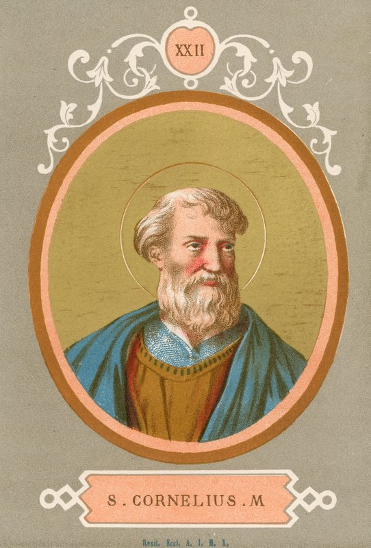 S Cornelius M af European School