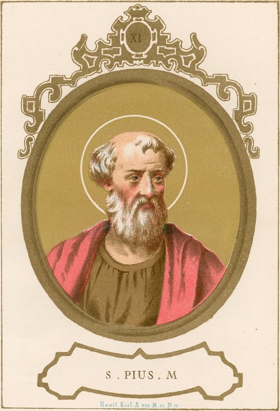 S Pius M af European School
